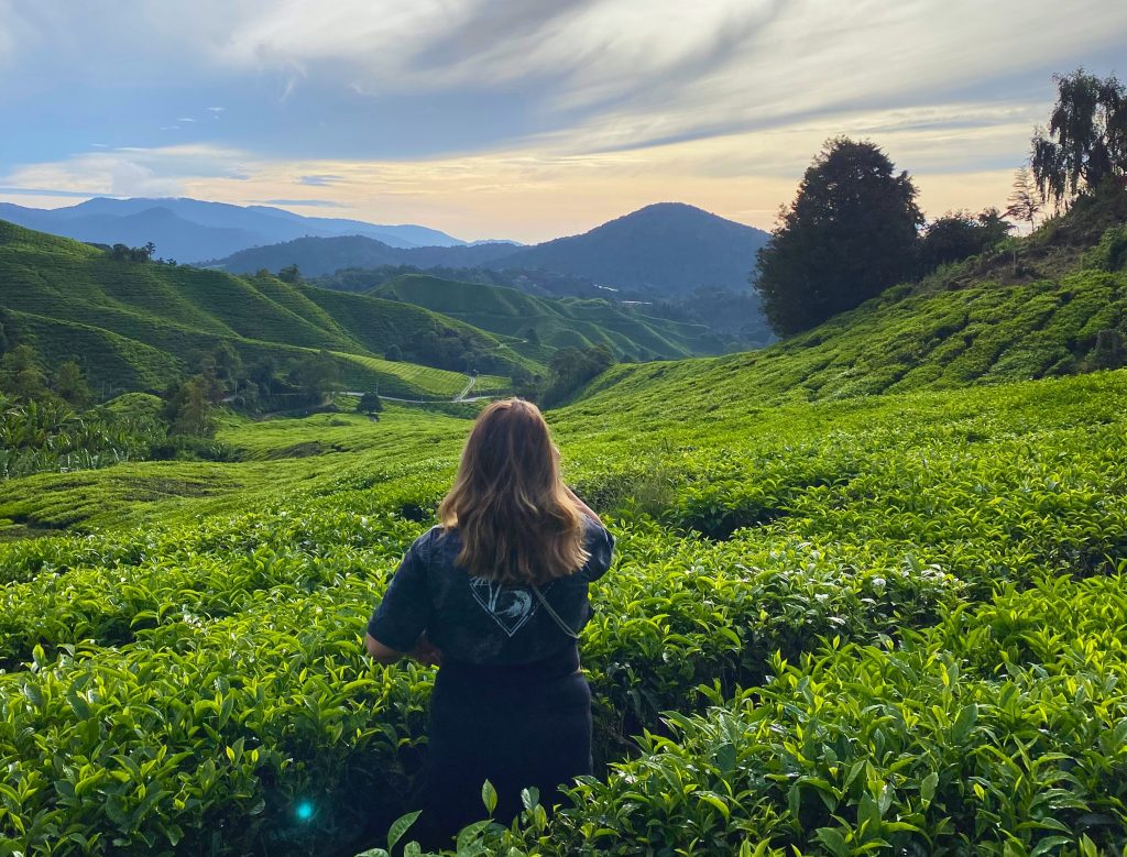 Exploring the Cameron Highlands